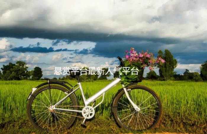 十大悬赏任务平台，悬赏平台最新人气平台是哪些 第1张